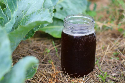 Plant Nutrient Boost